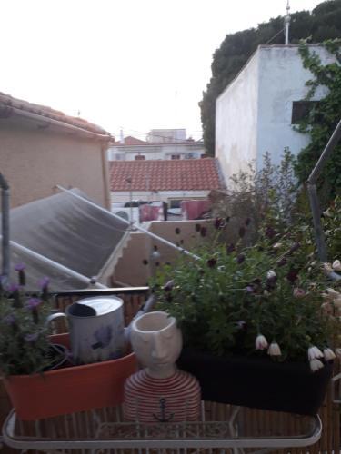 Apartamento Aegina's Flowers House