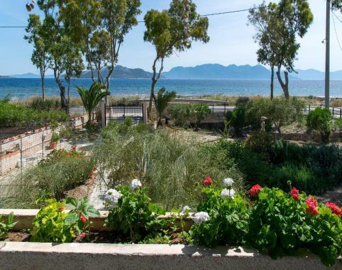 Seaside House On Aegina Lovely Island