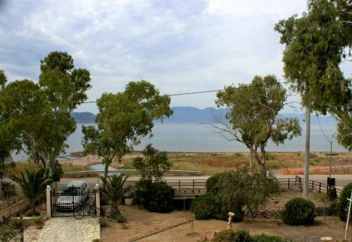 Seaside House On Aegina Lovely Island