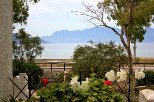 Seaside House On Aegina Lovely Island