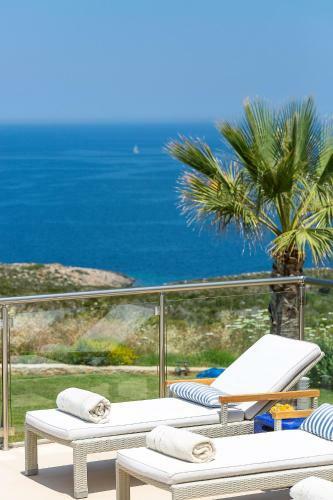 Elias Luxury Villa