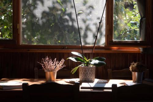 Hotel Orias Guesthouse & Farm