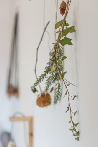 Hotel Orias Guesthouse & Farm