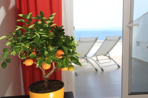 Briki Apartments