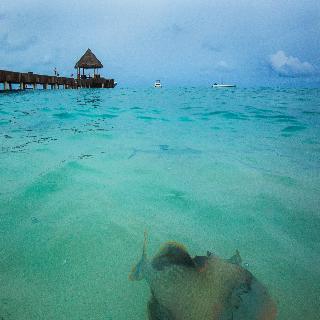 Hotel Vivanta By Taj Coral Reef