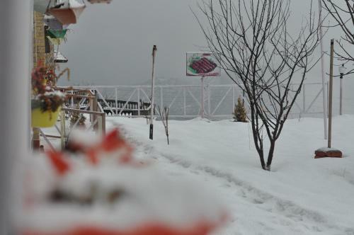 Hotel Viewtoria Resort