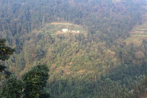 Hostal The Dhanolti Groove Garden