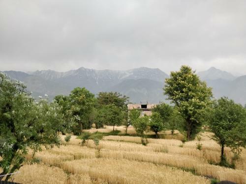 Hotel D'polo Club & Spa Resort