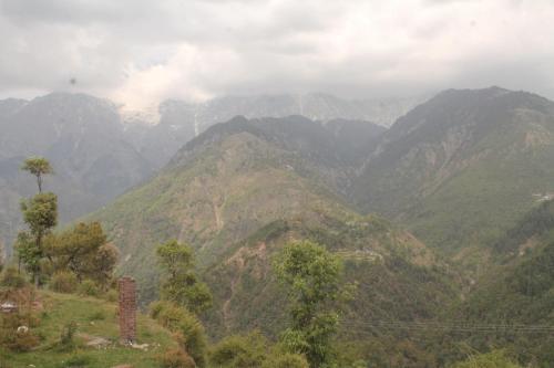 Hotel Decent Room In Naddi Mcleodganj