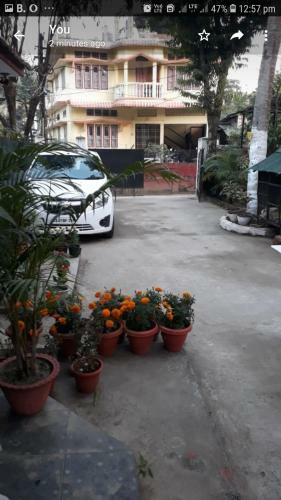 Jiya's Cottage