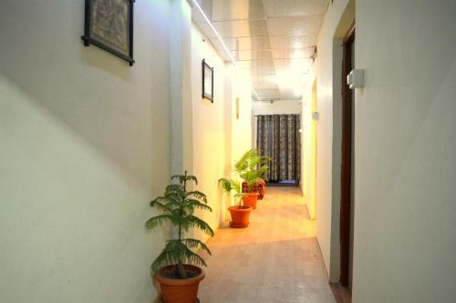 Bed & Breakfast Hotel Dhingra Residency
