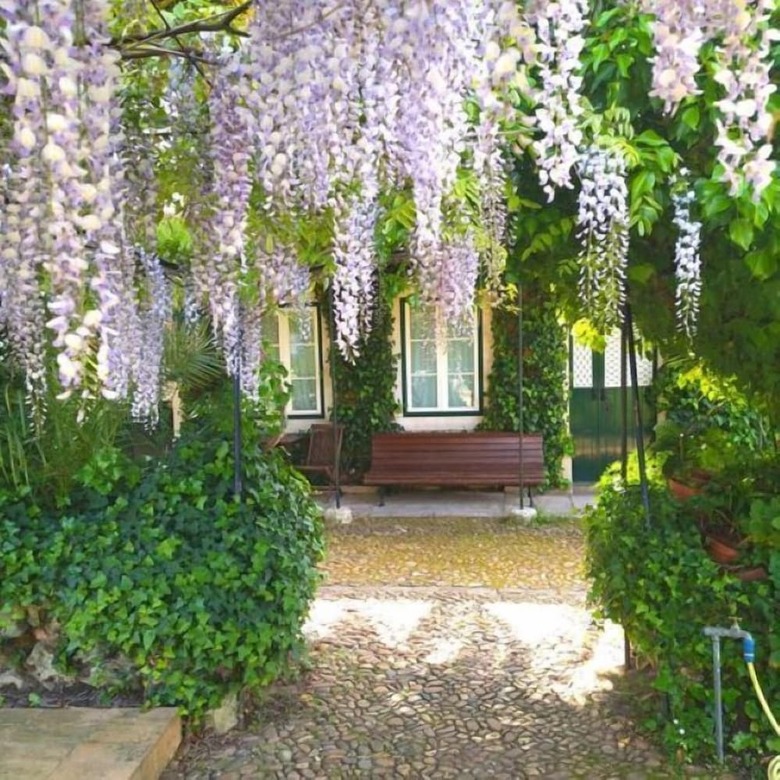 Hotel Casa Do Foral