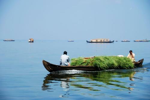 House Boat