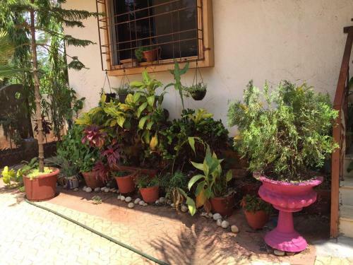 2 Bhk Bungalow With Pool