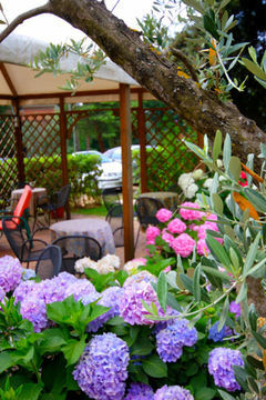 Hotel Le Renaie