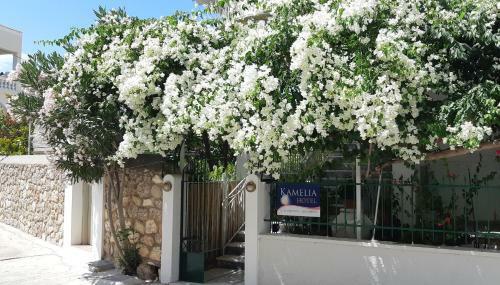 Hotel Kamelia