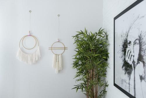 Apartamento Boho City