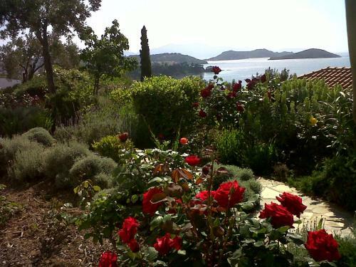 Hostal Villa Athena