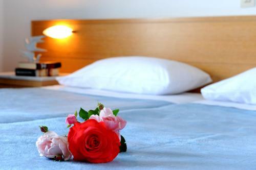 Delfinia Hotel & Bungalows