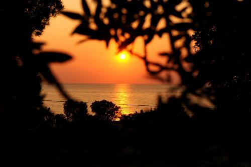 Delfinia Hotel & Bungalows