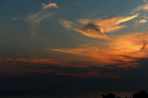 Delfinia Hotel & Bungalows