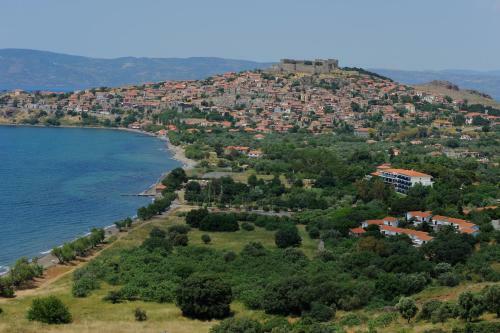 Delfinia Hotel & Bungalows