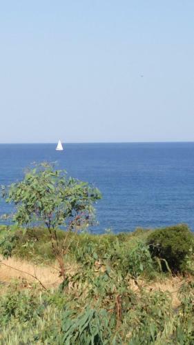 Seafront Apartment In Kartela Kyparisias