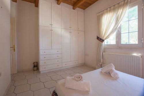 Ilenia's House