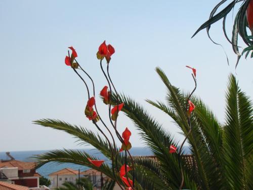 Apartamentos Athina Studios
