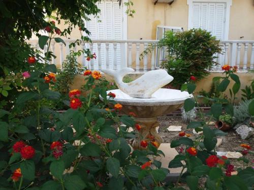 Apartamentos Athina Studios