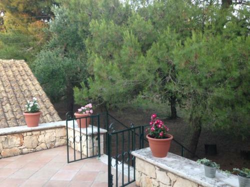 Villa Zante Close To The Sea