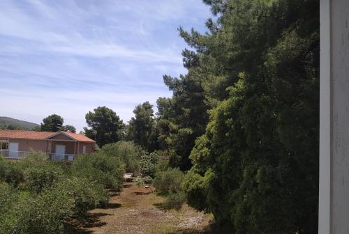 Malibu Studios & Apartments