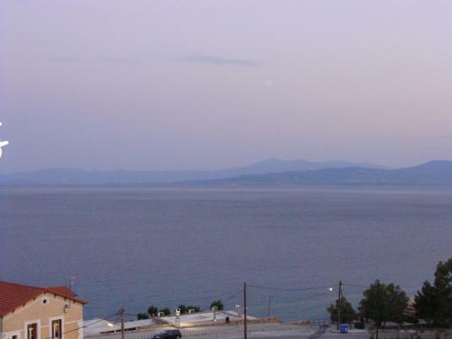 Hostal Rodon