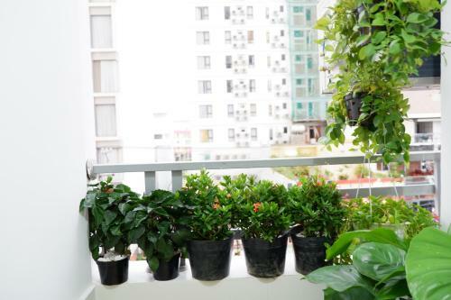 Da Nang Daisy Apartment