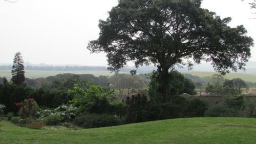 Hostal Sugar Hill Manor