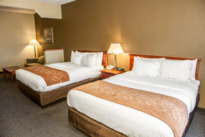 Hotel Comfort Suites Auburn