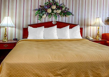 Hotel Quality Inn