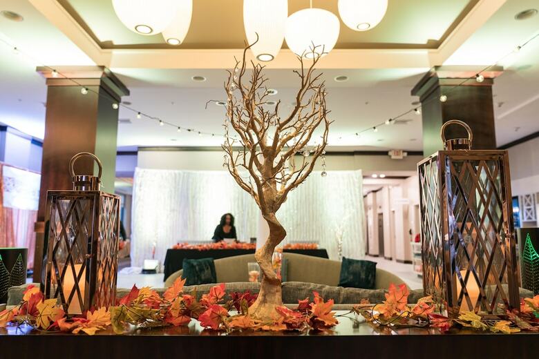 Hotel Hilton Garden Inn Arlington/shirlington