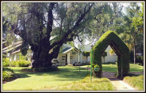 Bed & Breakfast President Paul Kruger Guest Lodge