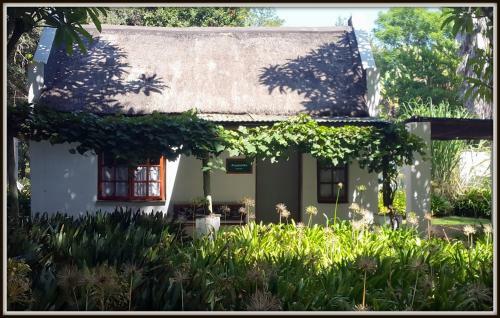 Bed & Breakfast President Paul Kruger Guest Lodge