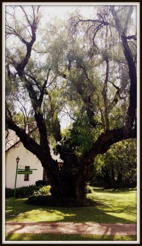 Bed & Breakfast President Paul Kruger Guest Lodge