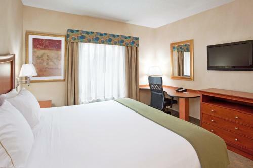 Holiday Inn Express Hotel & Suites Auburn Hills