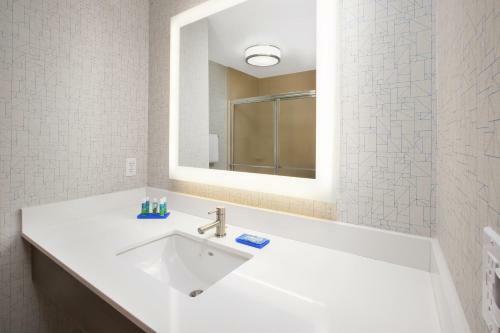 Holiday Inn Express Hotel & Suites Auburn Hills