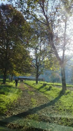 House At Glengariff