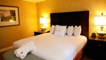 Hotel Doubletree By Hilton Boston Bedford Glen