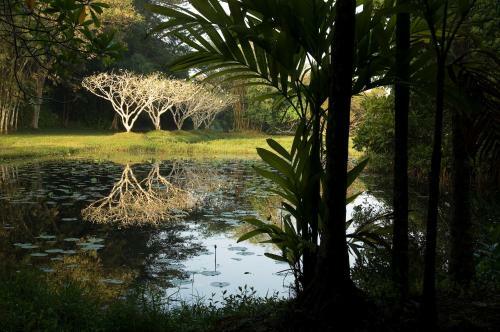 Hotel Lunuganga Country Estate