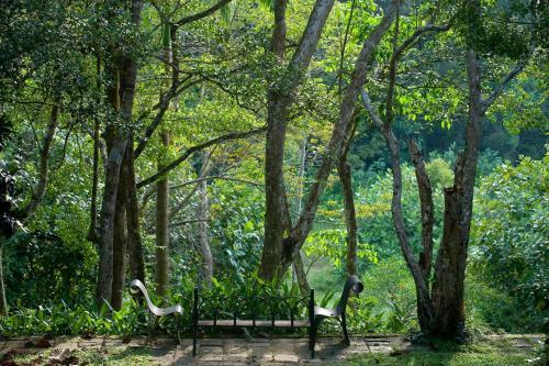 Hotel Lunuganga Country Estate
