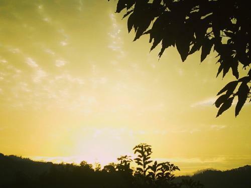 Cool View Homestay Ella