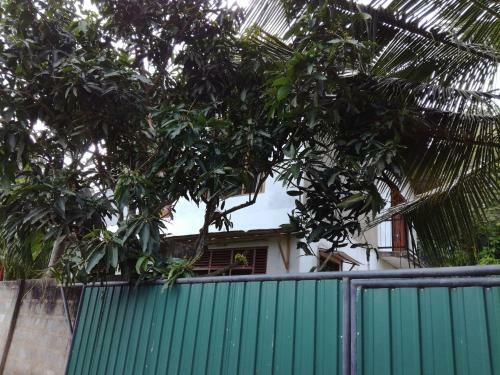 Field View Homestay
