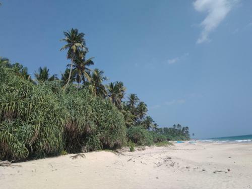 Beach Holiday @ Tent